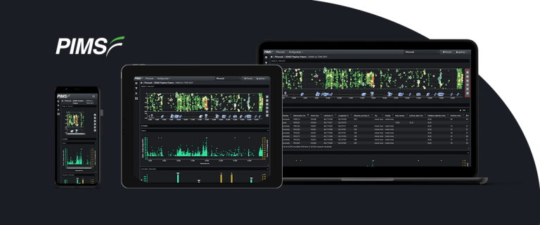 pimsf case study