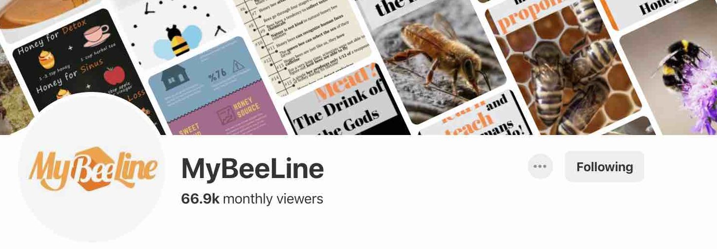 Impressions case study 05 image